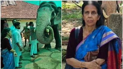 രാഹുലിനെ അയോഗ്യനാക്കിയപ്പോൾ ആനയൂട്ട് വഴിപാട് നേർന്നു; ഗുരുവായൂരിലെത്തി വഴിപാട് കഴിച്ച് മടങ്ങി വയോധിക