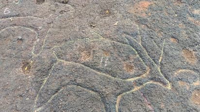 ಉತ್ತರ ಕನ್ನಡ:  ಭಟ್ಕಳದಲ್ಲಿ ಶಿಲಾಯುಗದ ಅತೀ ದೊಡ್ಡ ಬಂಡೆಚಿತ್ರ ನೆಲಶೋಧ!