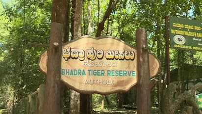 Lok Sabha Elections 2024: Chikkamagaluru officials offer voters free transport amid threat from wild animals