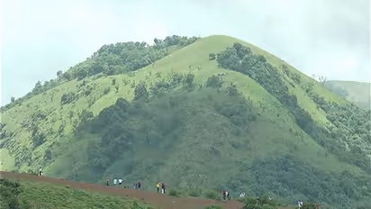 Chikkamagaluru sees surge in tourists as homestays, resorts go full for New Year celebrations