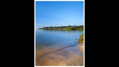 അവധി ആഘോഷങ്ങൾക്ക് തടാകത്തിൽ നീന്തിയവർക്ക് ദേഹാസ്വസ്ഥ്യം, നിരവധിപ്പേർ ആശുപത്രിയിൽ