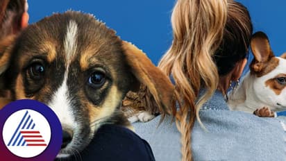 ಪ್ರಾಣಿಗಳನ್ನು ಅತೀ ಪ್ರೀತಿಸೋದೊಂದು ರೋಗ,! 159 ಪ್ರಾಣಿ ಸಾಕಿ ಸಂಕಷ್ಟಕ್ಕೀಡಾದ ಮಹಿಳೆ