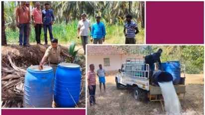 അല്ലെങ്കിലേ ചുട്ട് പൊള്ളുന്ന നാട്; ഷെഡ്ഡുകളിൽ വരെ വിടാതെ പരിശോധിച്ച് എക്സൈസ്, പിടിച്ചെടുത്തത് പഴകിയ കള്ള്