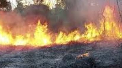 പറമ്പില്‍ തീപ്പിടുത്തം, തീ അണയ്ക്കുന്നതിനിടെ പൊള്ളലേറ്റ് മരിച്ചു