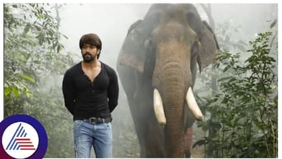 ಹಾಸನದಲ್ಲೇ ಹುಟ್ಟಿರೋ ಮಗ ನಾನು, ನಮ್ ತಂದೆ-ತಾಯಿ ಹಾಸನದವ್ರೇ..; KGF ಸ್ಟಾರ್ ಯಶ್!