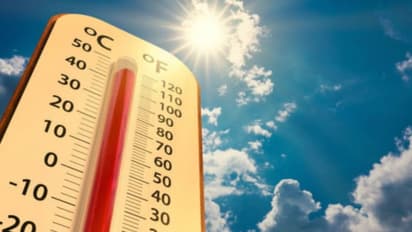 Kerala records highest temperature on polling day; IMD issues heatwave warning across state
