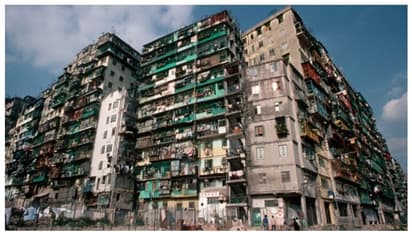 'തോന്നിവാസികളുടെ നഗര'ത്തിൽ നിയമം പടിക്ക് പുറത്ത്; വേശ്യാലയങ്ങളും കാസിനോകളും അകത്ത്; പക്ഷേ, പിന്നീട് സംഭവിച്ചത്