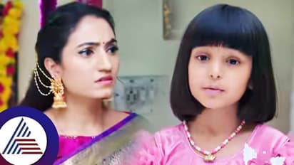 ನಂಗೆ ಅಪ್ಪ ಇಲ್ಲಾಂದ್ರೂ ಪರವಾಗಿಲ್ಲ, ನಿಂಗೆ ಗಂಡ ಬೇಕಲ್ವಾ? : ಸಿಹಿಯ ಮಾತಿಗೆ ಕಂಗಾಲಾದ ಸೀತಾ