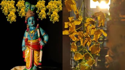 Kerala: Guruvayur temple's Vishu Kani darshan set for April 14; Check timings and more