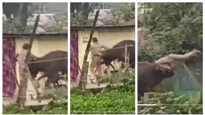 'കാക്കി കണ്ടാ കലിപ്പാണേ...'; മുന്നറിയിപ്പ് അവഗണിച്ച് മുന്നിലേക്ക് ചെന്നയാളെ തൂക്കിയെടുത്ത് ഗൗർ, വീഡിയോ വൈറല്