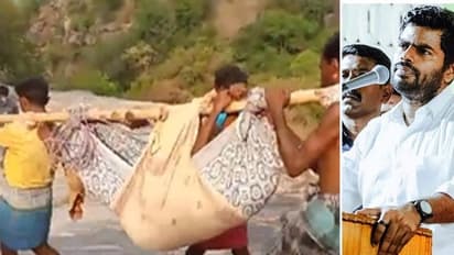 கர்ப்பிணியை துணியால் டோலி கட்டி அழைத்து செல்லப்பட்ட அவலம்! இதுதான் திராவிட மாடல் ஆட்சியா? அண்ணாமலை கேள்வி! 