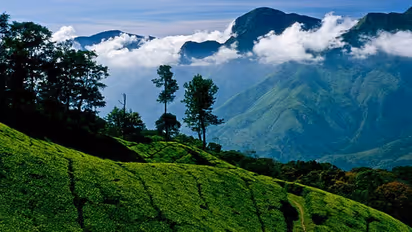 Ooty Lake to The Tea Factory: 7 Most-Scenic tourist places to visit in Ooty