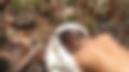 വഴി തര്ക്കത്തെതുടര്ന്ന് അയല്വാസിയായ സ്ത്രീയുമായി മല്പ്പിടുത്തം; വയോധികന് ദാരുണാന്ത്യം