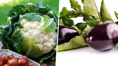 Chaitra Navaratri 2024: 7 vegetables you should not consume these 9 days