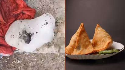 ಮೊನ್ನೆ ಸಮೋಸಾದಲ್ಲಿ ಕಾಂಡೋಮ್.. ಇಂದು ಹೊಟೇಲ್ಗಳಿಗೆ ಪೂರೈಕೆ ಮಾಡಿದ್ದ ಐಸ್ಬ್ಲಾಕ್ನಲ್ಲಿ ಸತ್ತ ಇಲಿ ಪತ್ತೆ