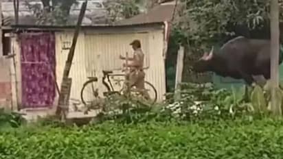 'കാട്ടുപോത്താണ് ഞാൻ കാട്ടിത്തരാം'; വന്യമൃ​ഗങ്ങളെ പ്രകോപിപ്പിച്ചാൽ ഇങ്ങനിരിക്കും, താക്കീതായി വീഡിയോ