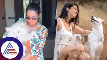 ಸಾಕುನಾಯಿಗಳೊಂದಿಗೆ ಫೋಟೋ ಹಂಚಿಕೊಂಡ ಐಂದ್ರಿತಾ ರೇ ಹೇಳಿದ್ದೇನು ನೋಡಿ..