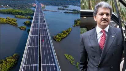 'എന്താണിത്, ആകാശ​ഗോപുരം വീണുകിടക്കുന്നതോ...'; മാഹി-തലശേരി ബൈപ്പാസിന്റെ ചിത്രം പങ്കുവെച്ച് ആനന്ദ് മഹീന്ദ്ര