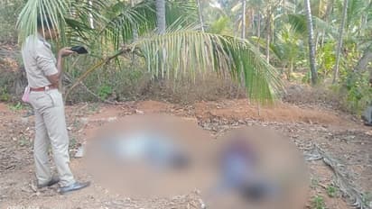 ഒഞ്ചിയത്ത് ഒഴിഞ്ഞ പറമ്പിൽ രണ്ട് യുവാക്കളെ മരിച്ച നിലയിൽ കണ്ടെത്തി; പരിസരത്ത് സിറിഞ്ചുകൾ, ഒരാൾ അവശനിലയില്