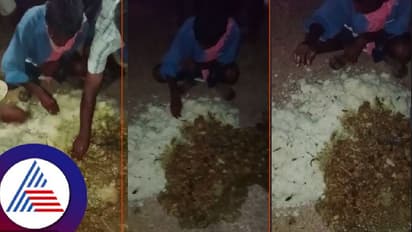 ಬಾಡೂಟ ವಶಕ್ಕೆ ಪಡೆದು ರಸ್ತೆ ಚೆಲ್ಲಿದ ಫ್ಲೈಯಿಂಗ್ ಸ್ಕ್ವಾಡ್; ಬಿಸಾಡಿದ್ದನ್ನೇ ತಟ್ಟೆಗೆ ಹಾಕಿ ತಿಂದ ಕಾಂಗ್ರೆಸ್ ಕಾರ್ಯಕರ್ತರು! 