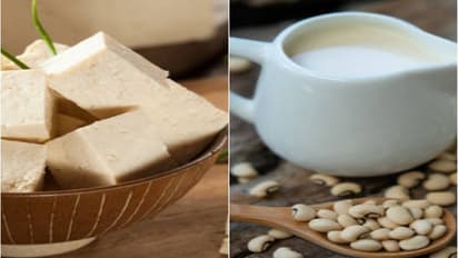  Health and Fitness: A Plant-Based protein source that helps in body growth