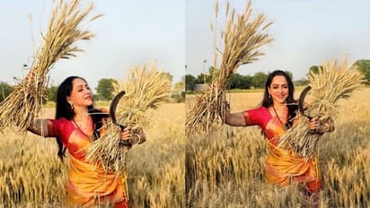 ಗೋಧಿ ಗದ್ದೆಯಲ್ಲಿ ಬಸಂತಿ ಹೇಮಾಮಾಲಿನಿ ಪೋಸ್, 'ಐದು ವರ್ಷಕ್ಕೆ ಕಟಾವಿಗೆ ಬರೋ ಬೆಳೆ ಯಾವ್ದು?' ಎಂದ ನೆಟ್ಟಿಗರು!