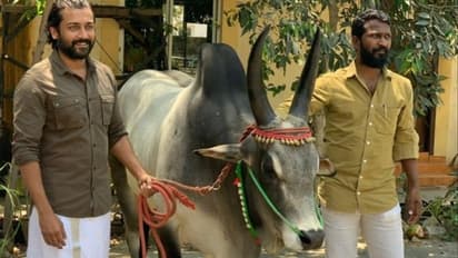 Vaadivaasal : கைவிடப்பட்டதா சூர்யாவின் வாடிவாசல்? புரளிகளுக்கு முற்றுப்புள்ளி வைத்த இயக்குனர் வெற்றிமாறன்?