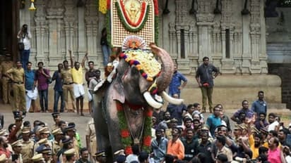 തൃശ്ശൂര്‍പൂരത്തിന് പ്രതിസന്ധി,ആനകളുടെ 50മീ. പരിധിയില്‍ ആളുകള്‍നില്‍ക്കരുത്,കര്‍ശന നിര്‍ദേശങ്ങളുമായി വനംവകുപ്പ്