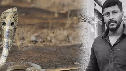 அட கடவுளே.. பாம்பு கடித்து பாம்பு பிடி வீரர் உயிரிழந்த பரிதாபம்.. நடந்தது என்ன?