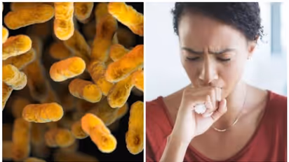 വില്ലൻ ചുമയെ സൂക്ഷിക്കണം ; ലക്ഷണങ്ങൾ ഇതൊക്കെ