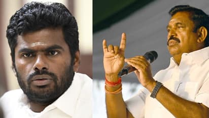 ஒரு கவுன்சிலரா கூட ஆக முடியல! நீ வந்து அதிமுகவை ஒழிப்பியா? அண்ணாமலையை லெப்ட் ரைட் வாங்கிய இபிஎஸ்!