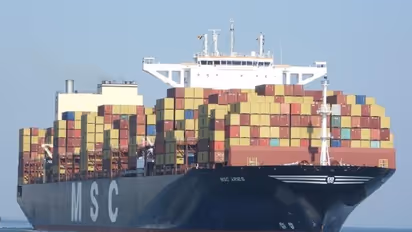 India in touch with Iran to secure release of 17 Indians onboard container ship seized by Iranian forces