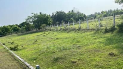 രഹസ്യവിവരം, പരിശോധന; 'നഞ്ചന്റെ' പറമ്പില് കണ്ടെത്തിയത് ആറു മാസം പ്രായമുള്ള കഞ്ചാവ് ചെടികള്, അന്വേഷണം