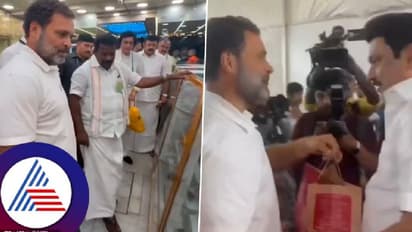 ಮಿಠಾಯಿ ಅಂಗಡಿಗೆ ಹಠಾತ್ ಭೇಟಿ; ಜಾಮೂನು ತಿಂದು ಸ್ಟಾಲಿನ್‌ಗೆ ಮೈಸೂರು ಪಾಕ್ ತಿನ್ನಿಸಿದ ರಾಹುಲ್ ಗಾಂಧಿ!