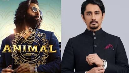 సిద్దార్దకు ఎందుకింత ప్రస్టేషన్? ‘యానిమల్’ పై విరుచుకుపడ్డాడు !