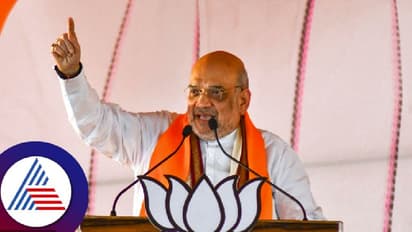 'Determined to free India from scourge of Naxalism': HM Amit Shah after 29 Naxals killed in Chhattisgarh