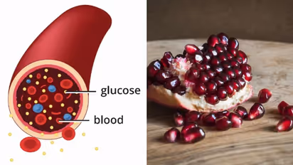 ഒട്ടും പേടിക്കേണ്ട, ഷുഗറുള്ളവർക്കും ഈ പഴങ്ങൾ കഴിക്കാം...
