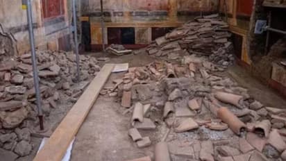 2000 വർഷം പഴക്കം, ആ പെയിന്റിംഗിലെ പ്രത്യേകത കണ്ട് അമ്പരന്ന് ഗവേഷകർ