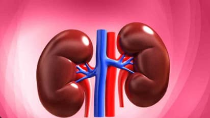 Health Tips :  വൃക്കരോഗമുള്ളവർ ഒഴിവാക്കേണ്ട അഞ്ച് തരം ഭക്ഷണങ്ങൾ