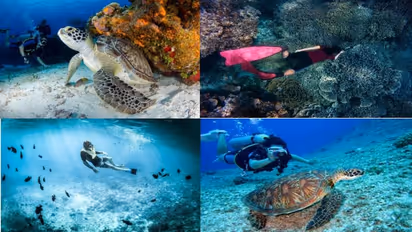 National Tourism Day 2025: 10 unforgettable scuba diving destinations you need to visit