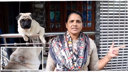 വീടിന് മുന്നിൽ നിന്ന പഗിനെ കുത്തി, തടയാൻ ശ്രമിച്ച വീട്ടമ്മയ്ക്ക് അസഭ്യവർഷം; ഉടൻ പ്രതികളെ പിടികൂടുമെന്ന് പൊലീസ്