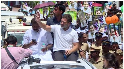 മലപ്പുറത്ത് ഇന്ന് രാഹുൽ ഗാന്ധിയുടെ റോഡ് ഷോ; മുസ്ലിം ലീഗ് നേതാക്കളും പങ്കെടുക്കും