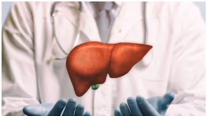 Health Tips : കരളിന്റെ ആരോഗ്യത്തിനായി ഒഴിവാക്കേണ്ട അഞ്ച് ഭക്ഷണങ്ങൾ