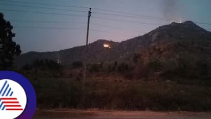 ಕಿಡಿಗೇಡಿಗಳಿಂದ ಸಿಡಿಲು ಮಲ್ಲಿಕಾರ್ಜುನಸ್ವಾಮಿ ಬೆಟ್ಟಕ್ಕೆ ಬೆಂಕಿ; ಸಾವಿರಾರು ಎಕರೆ ಅರಣ್ಯ ಪ್ರದೇಶ ನಾಶ