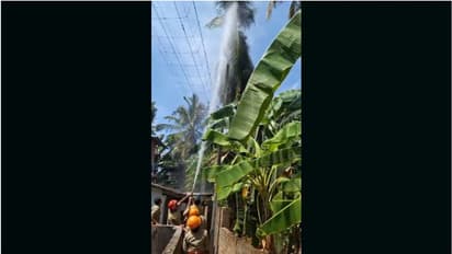 പലതവണ ആവശ്യപ്പെട്ടിട്ടും മുറിച്ചുമാറ്റിയില്ല; വീടിന് മുകളിലേക്കു ചാഞ്ഞുനിൽക്കുന്ന തെങ്ങിന് തീപിടിച്ചു