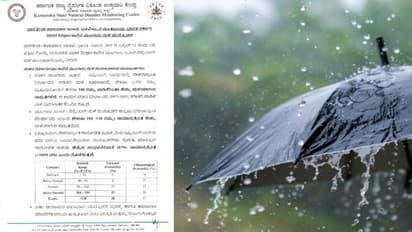 Karnataka residents rejoice: IMD predicts higher than normal rainfall this year