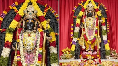 Ram Navami 2024: Ayodhya's Ram Lalla adorned in yellow attire after Divya Abhishekam; WATCH mangal aarti