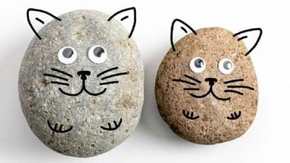 നായയും പൂച്ചയും ഒന്നുമല്ല, കൊറിയയിലെ യുവാക്കളുടെ പുതിയ 'പെറ്റ്' ഇതാണ്