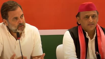 பாஜக 150 தொகுதிகளுக்கு மேல் ஜெயிக்காது - ராகுல் காந்தி கணிப்பு!