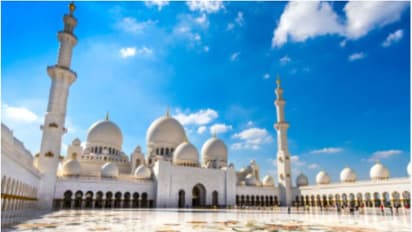 90% of Waqf properties mosques, graveyards: Muslim board as BJP slams protest over amendment bill